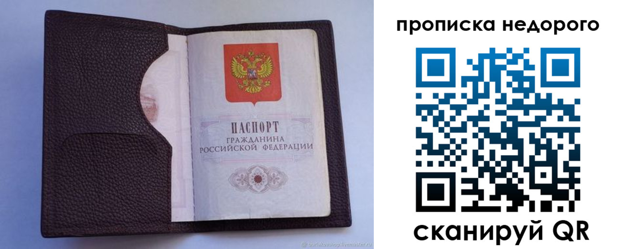 прописка законно в Курской области